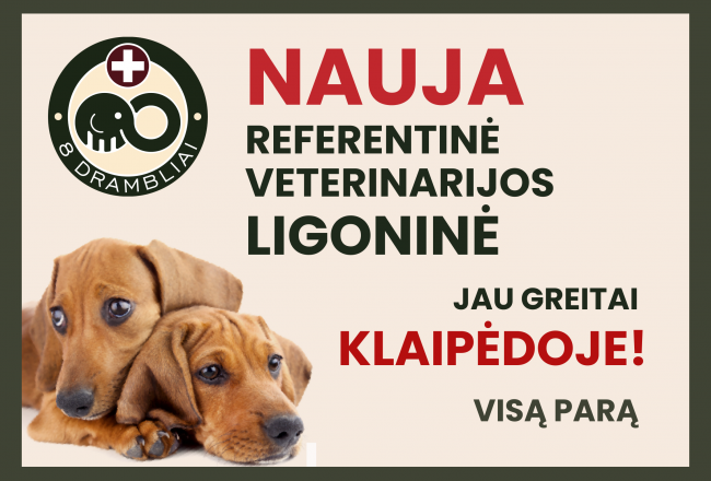 8 DRAMBLIAI ATIDUNDA Į KLAIPĖDĄ!